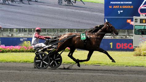 gouve turf la reference du turf|Tiercé Quarté Quinté : partants, pronostics et rapports .